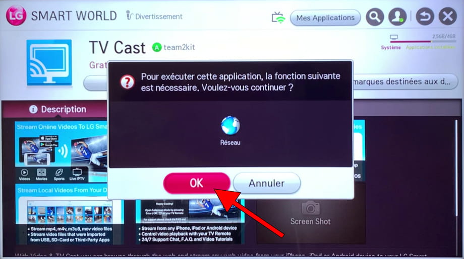 Accepter les autorisations de l'application NetCast LG TV